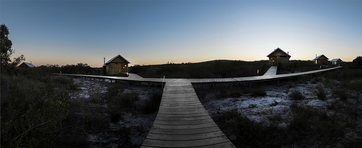 Landscape 24